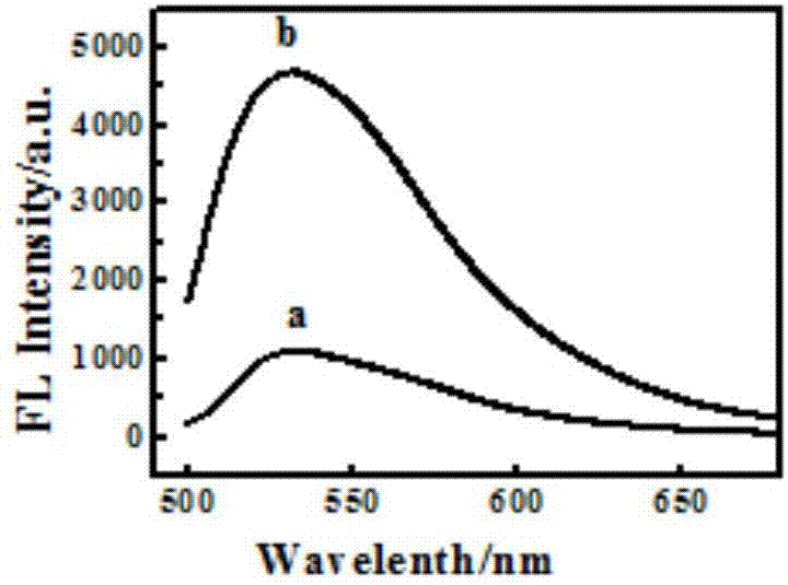 A fluorescent sensor, its preparation method and use