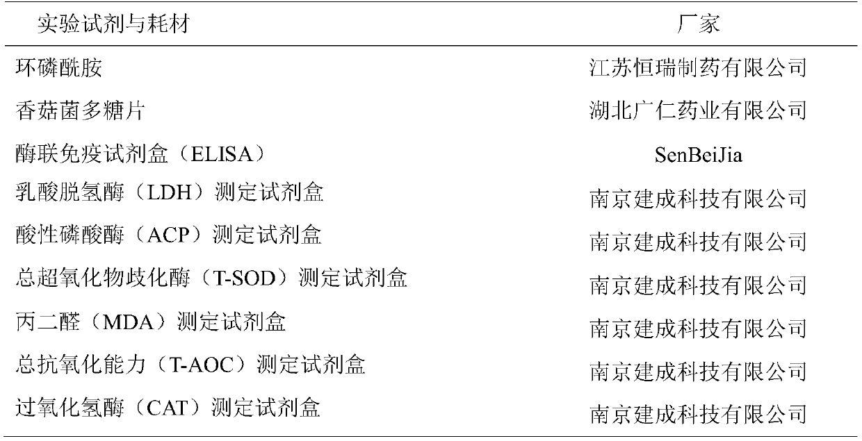 Application of durian peel polysaccharide in preparation of immune-enhancing drug