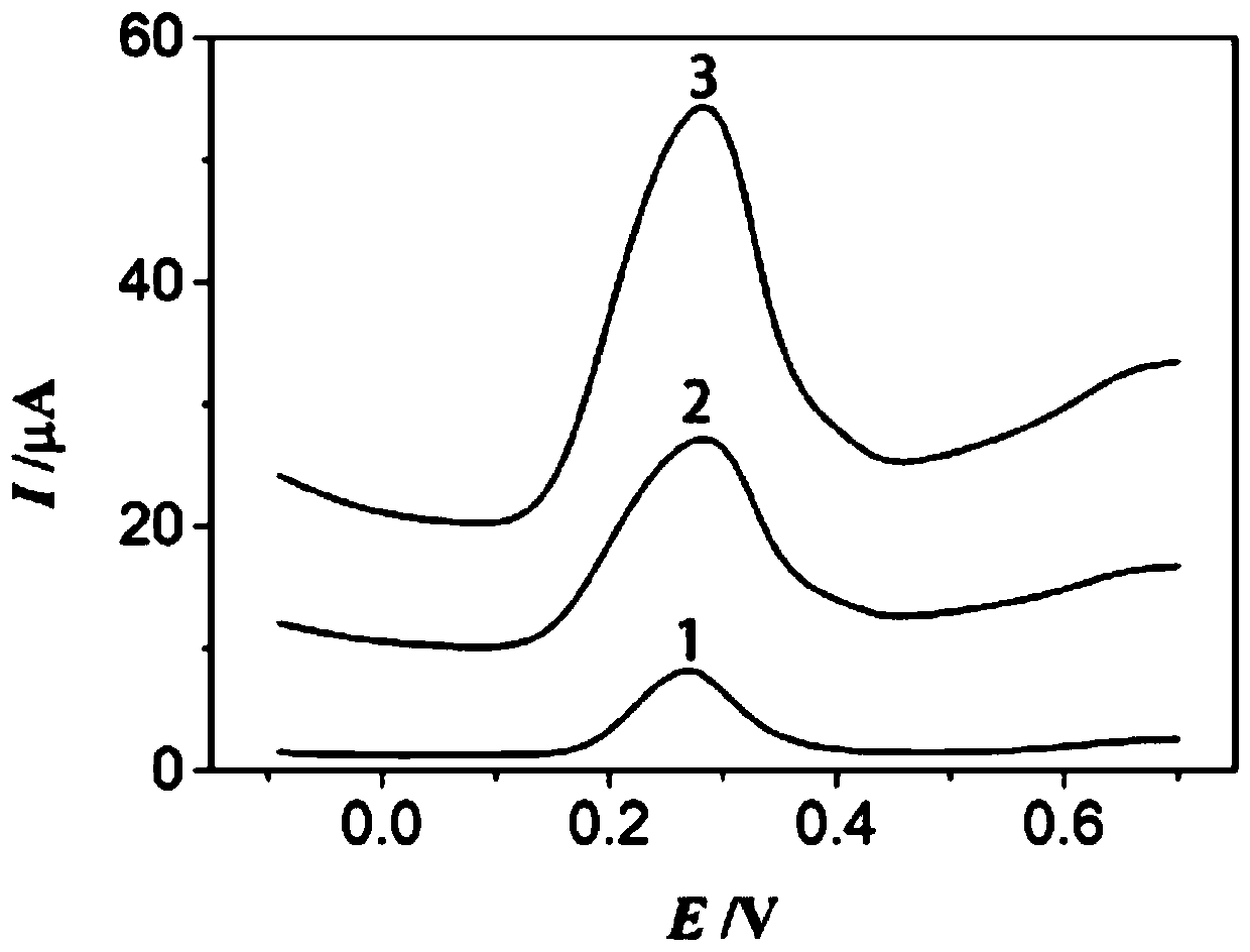 Aminated multi-walled carbon nanotube electrochemical sensor and application thereof in quercetin detection