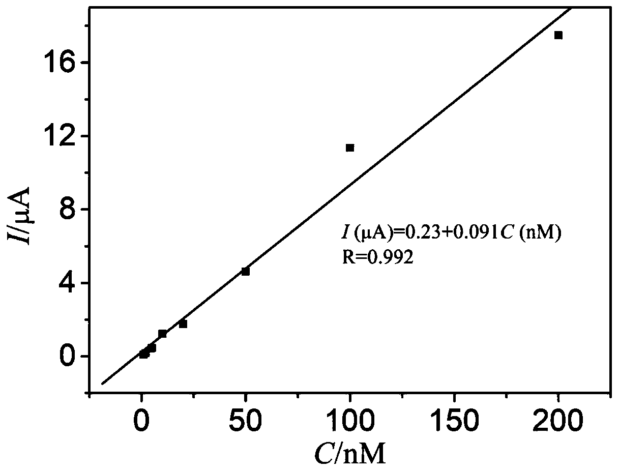 Aminated multi-walled carbon nanotube electrochemical sensor and application thereof in quercetin detection