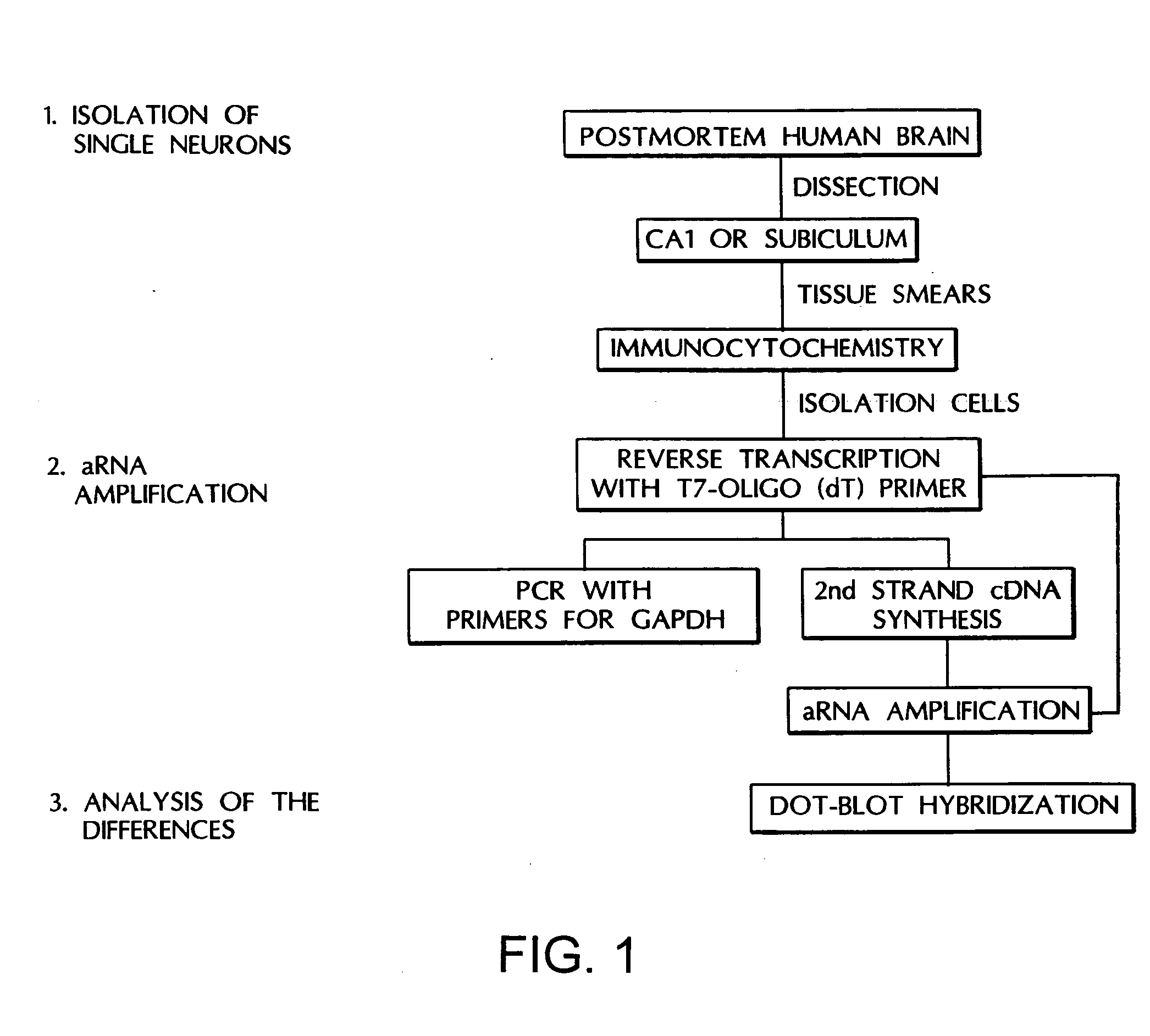 Molecular markers for the diagnosis of Alzheimer's disease