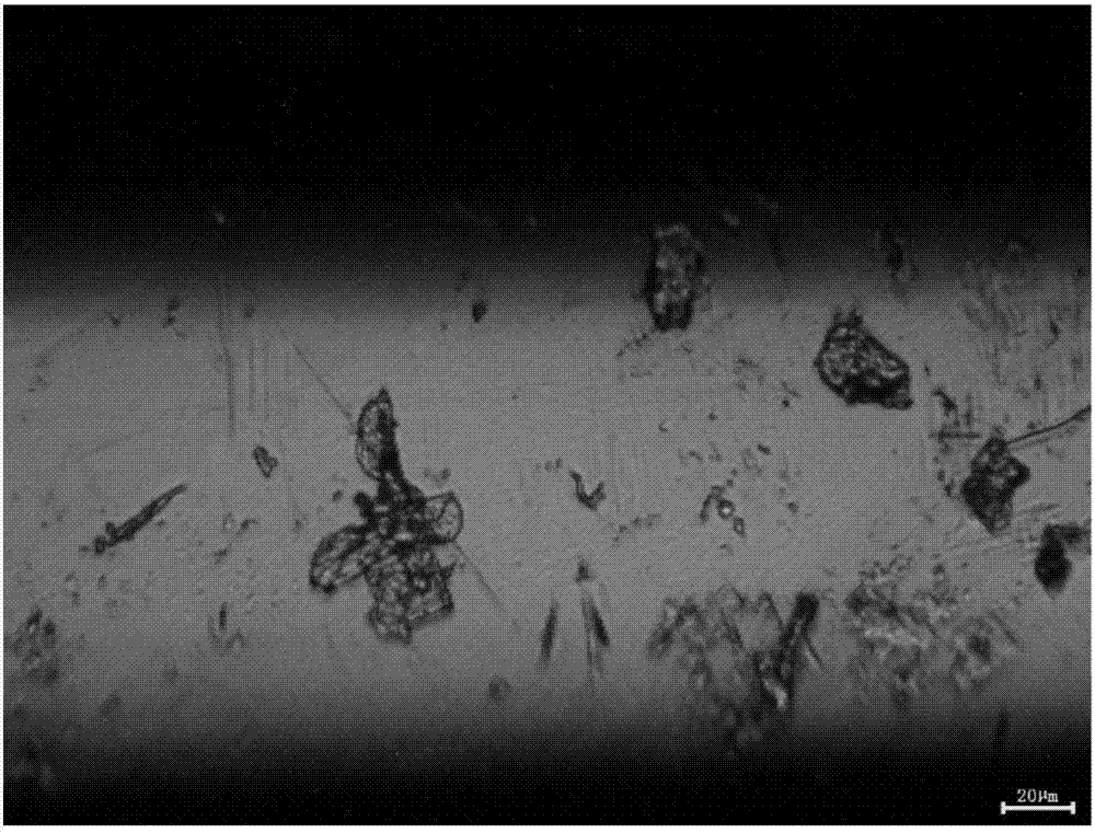 Hot tinning antioxidant additive and preparation method and application thereof