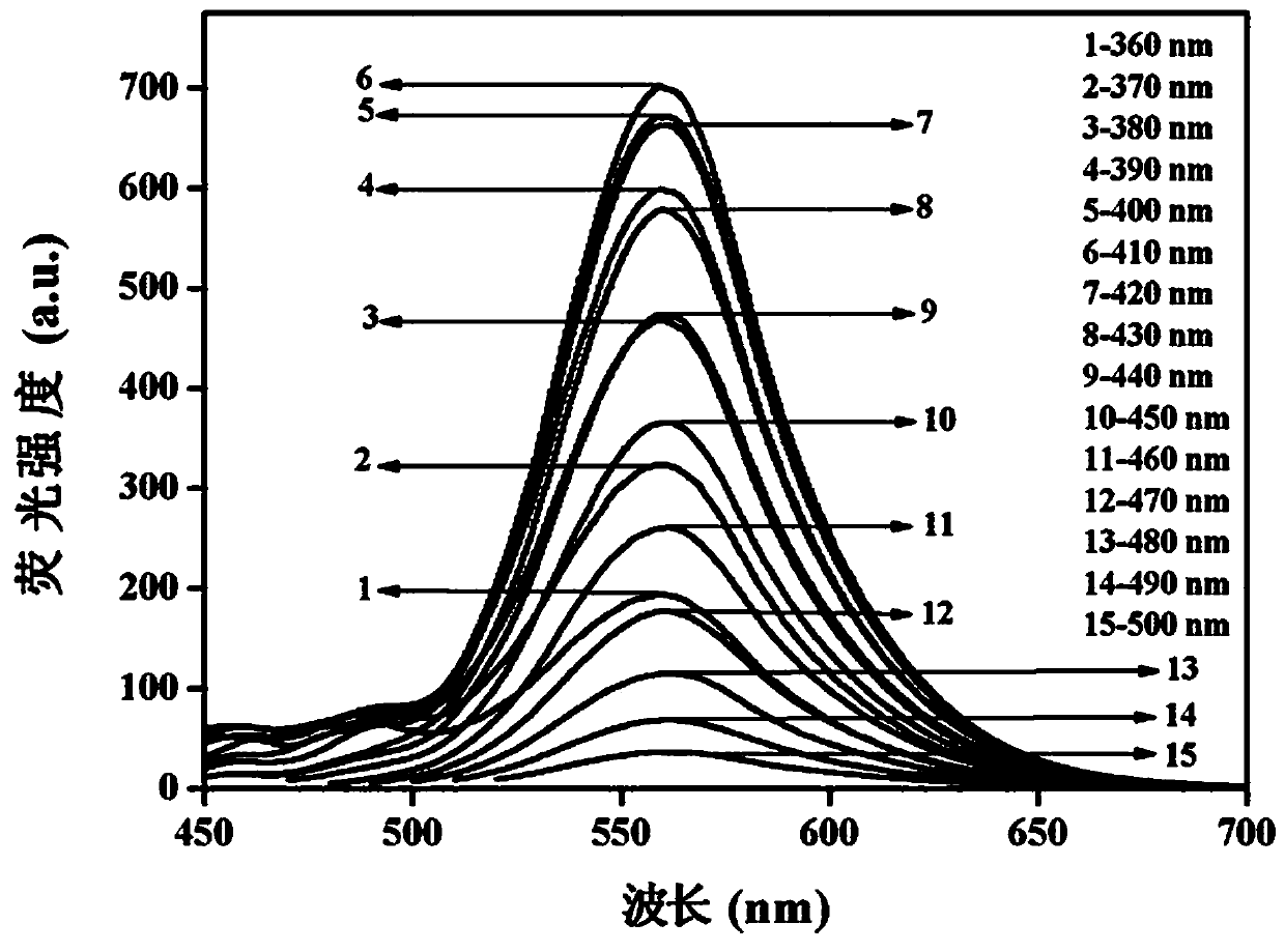 Fluorescent probe for quantitatively detecting acidic or basic amino acids on basis of carbon quantum dot fluorescence quenching or enhancement method and preparation method for fluorescent probe