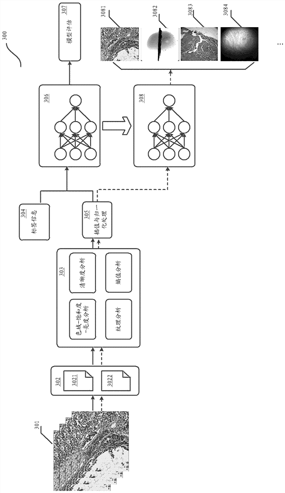 A medical image classification method, model training method and server