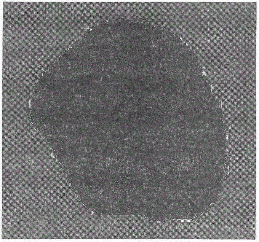 Patella tissue engineering scaffold and its manufacturing material and preparation method