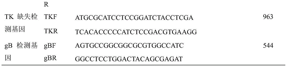 Porcine pseudorabies virus vaccine