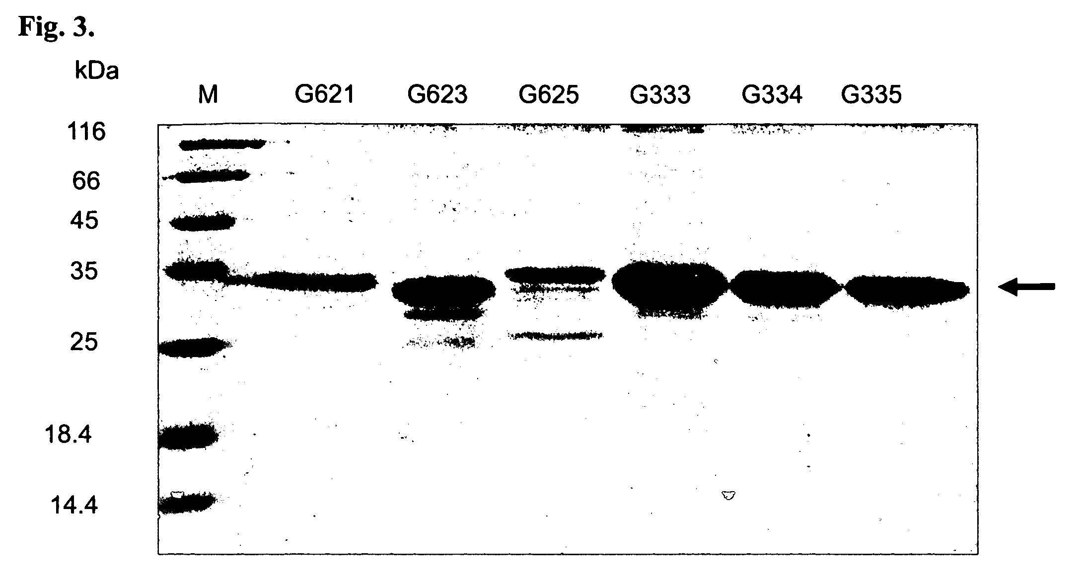 Recombinant enterovirus 71 neutralizing antibodies and applications thereof