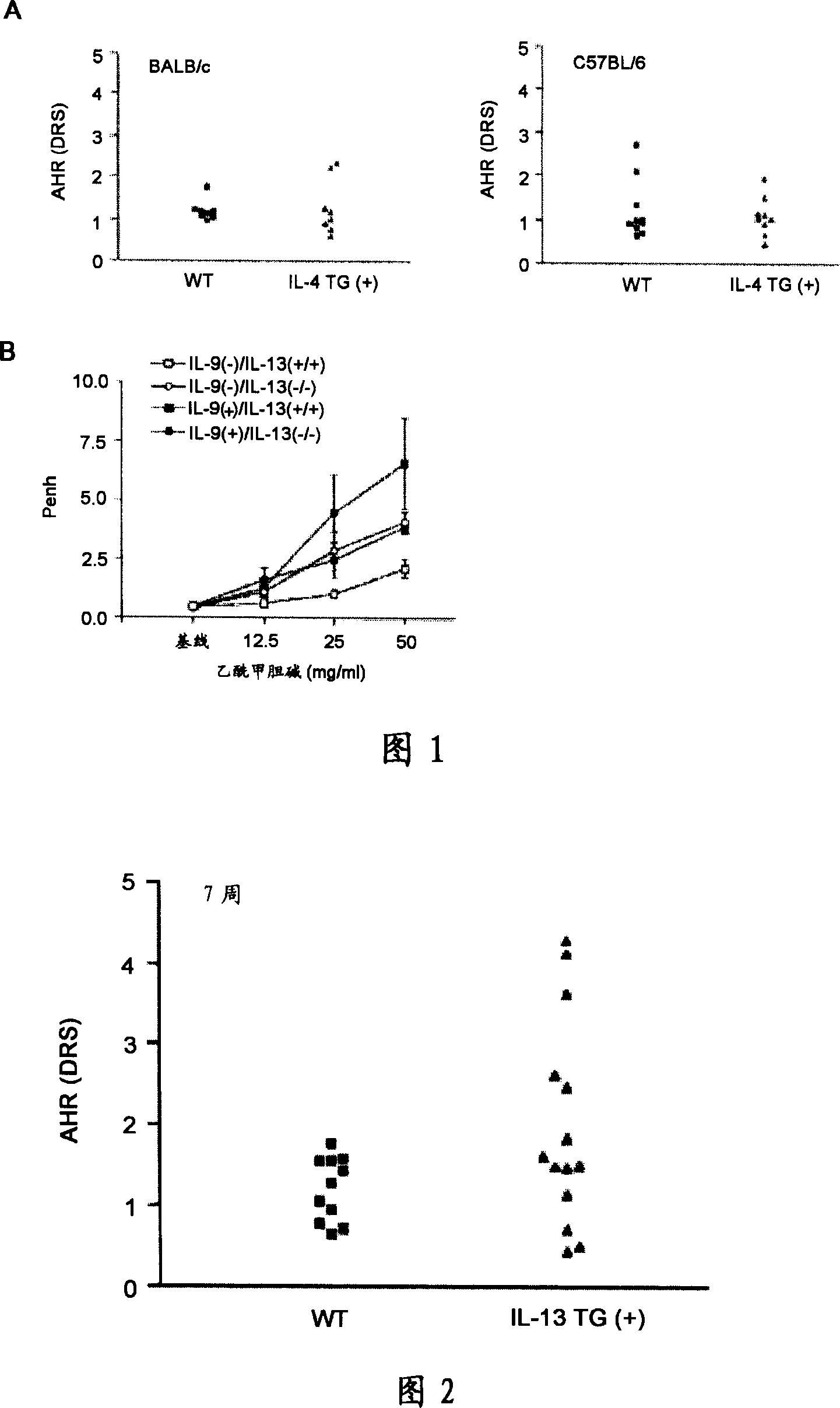 An agent comprising fgf2 as an effective ingredient for treatment or prevention of asthma and chronic obstructive pulmonary disease