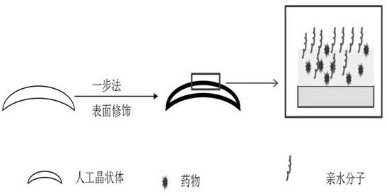 A kind of intraocular lens with hydrophilic-drug sustained-release synergistic function and preparation method thereof