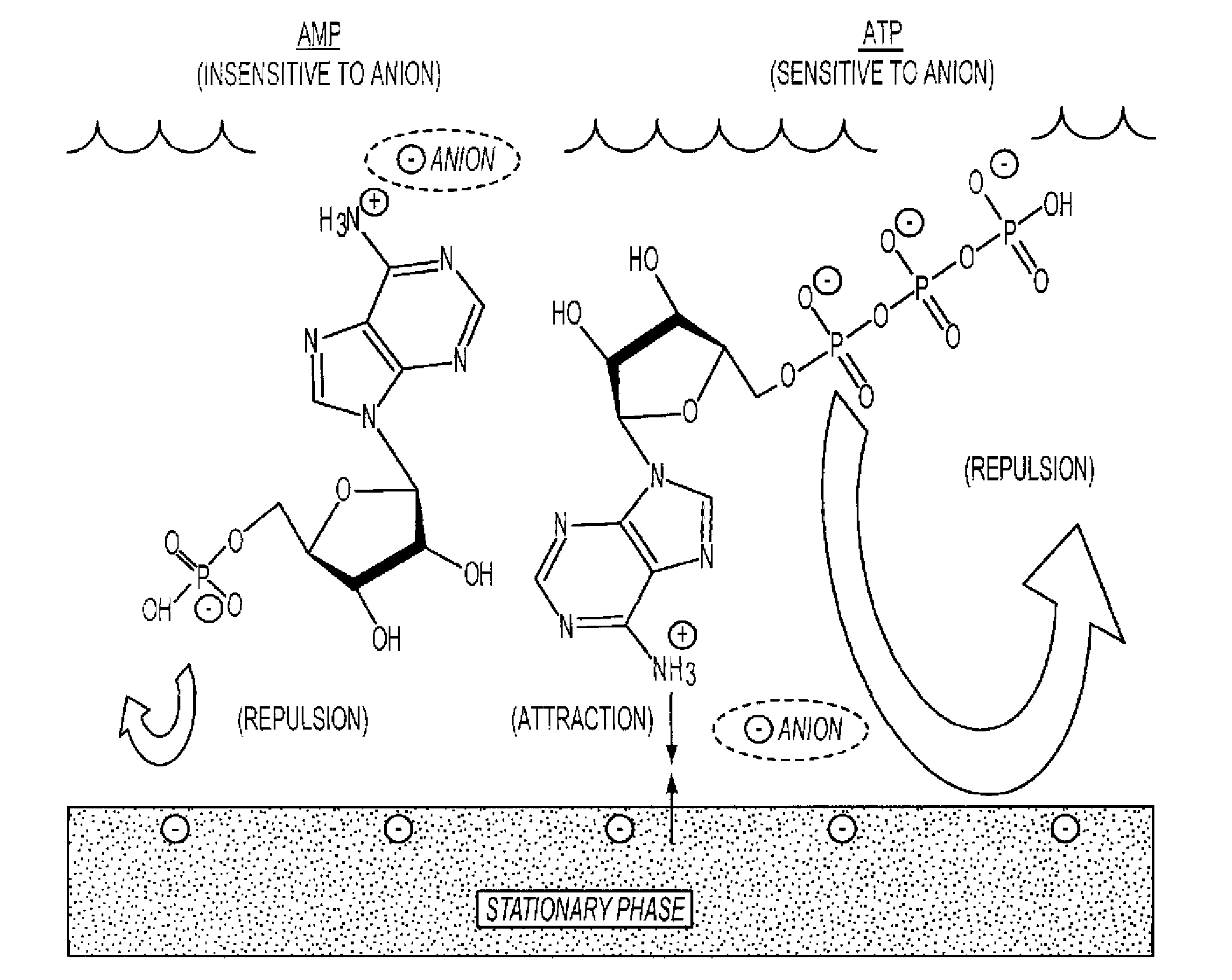 Separation of Charged Solutes by Electrostatic Repulsion-Hydrophilic Interaction Chromatography