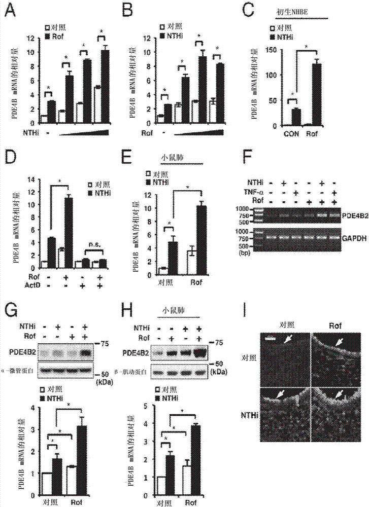 Compositions and methods for treating COPD and other inflammatory conditions