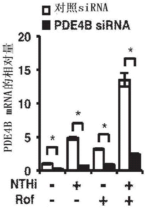 Compositions and methods for treating COPD and other inflammatory conditions