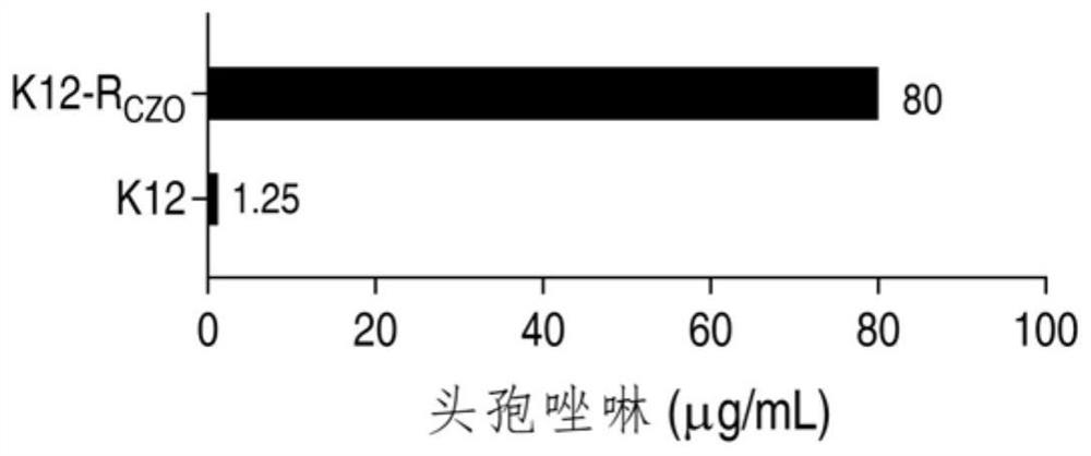 Application of Compound Amino Acids in Preparation of Drugs for Improving Bacteria's Sensitivity to Antibiotics