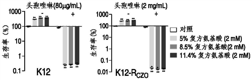 Application of Compound Amino Acids in Preparation of Drugs for Improving Bacteria's Sensitivity to Antibiotics