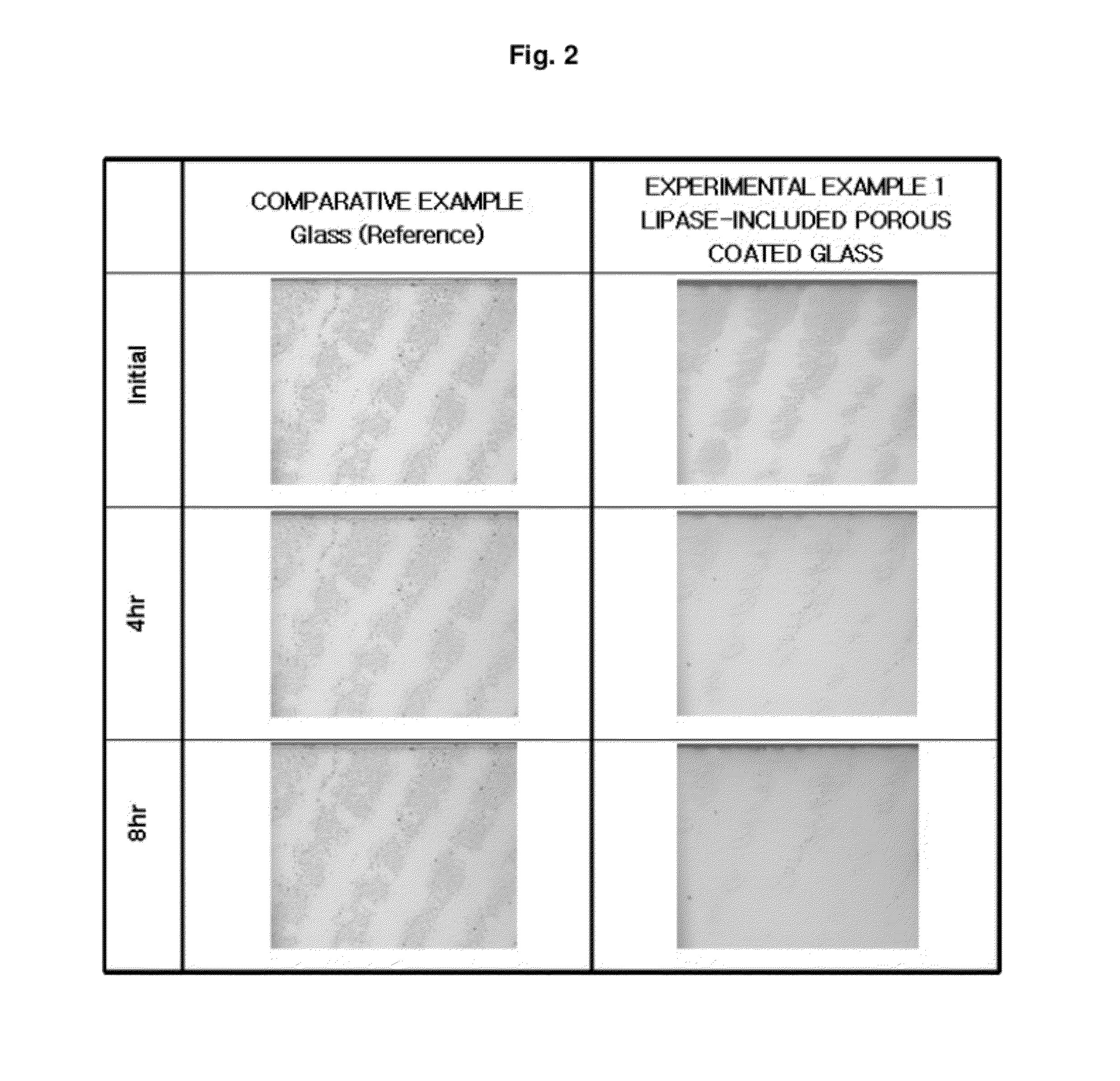 Porous structure for forming Anti-fingerprint coating, method of forming Anti-fingerprint coating, substrate comprising the Anti-finger-print coating formed by the method, and product comprising the substrate