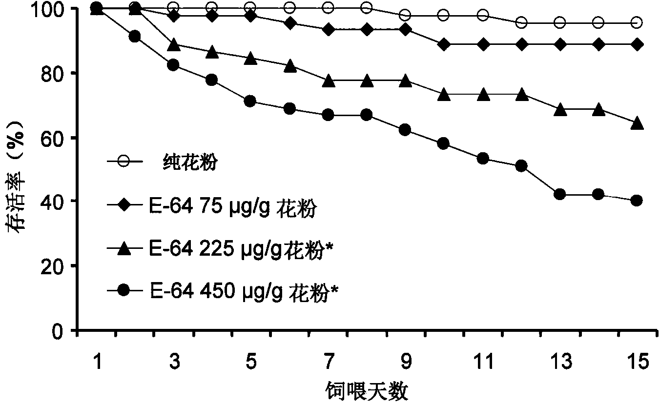 Method for detecting toxicity influence of stomach toxicity pesticides or transgene insecticidal protein to Propylaea japonica