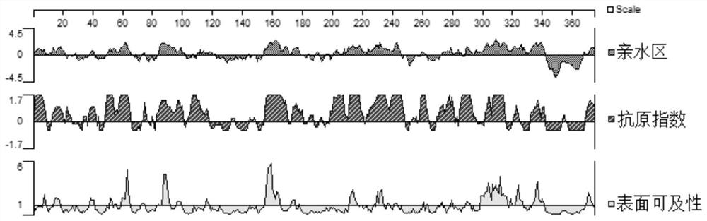 An expression protein for detecting bovine viral diarrhea virus antibody, ELISA kit, preparation method and application thereof