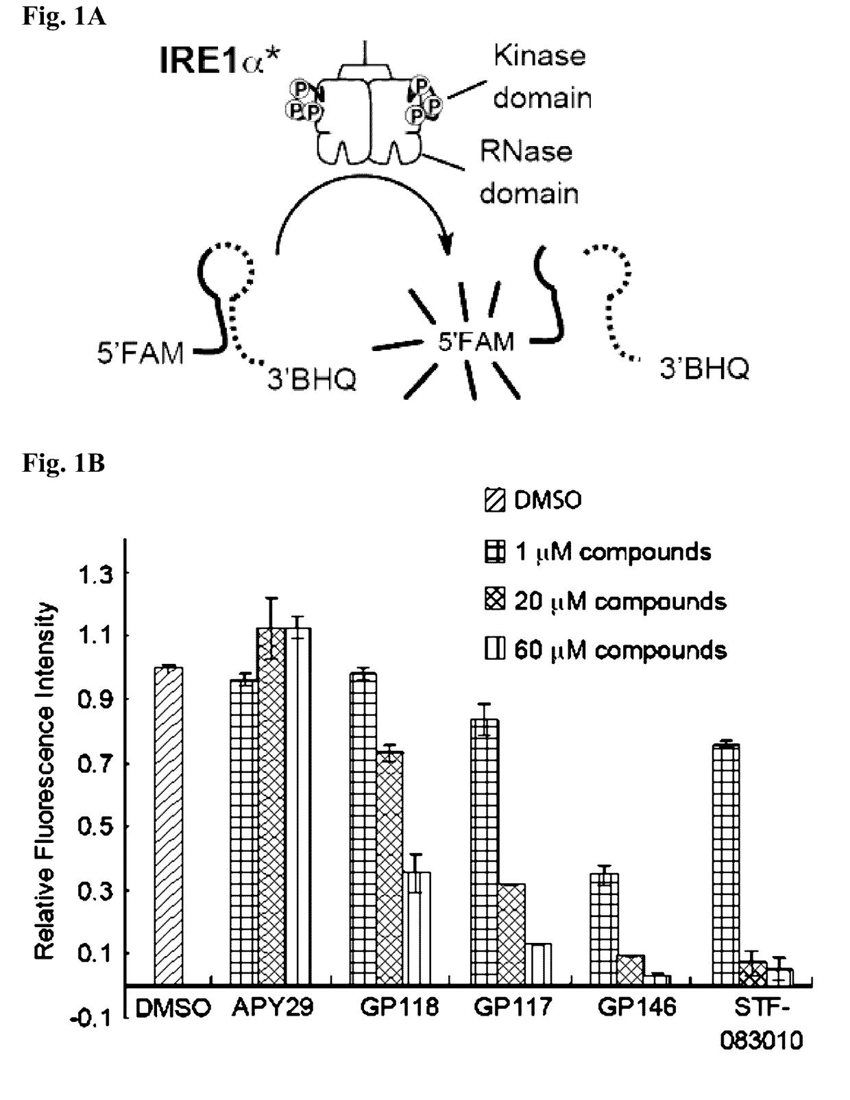 Combined modulation of ire1