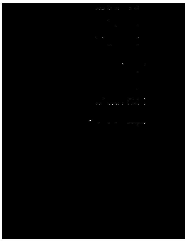 Fixed star centroid extraction method used for area array instrument of geostationary orbit earth observation satellite