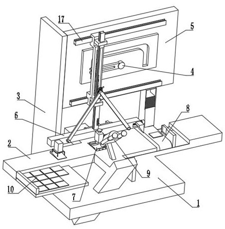 Combined tumor pathological diagnosis device