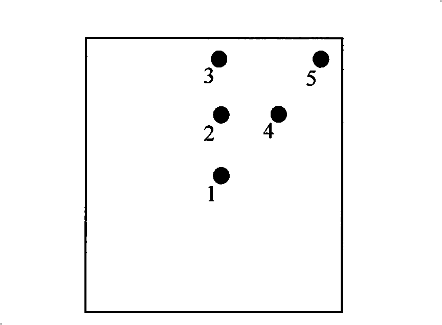 Process for discriminating high growth rate chemical vapour deposition diamond single crystal