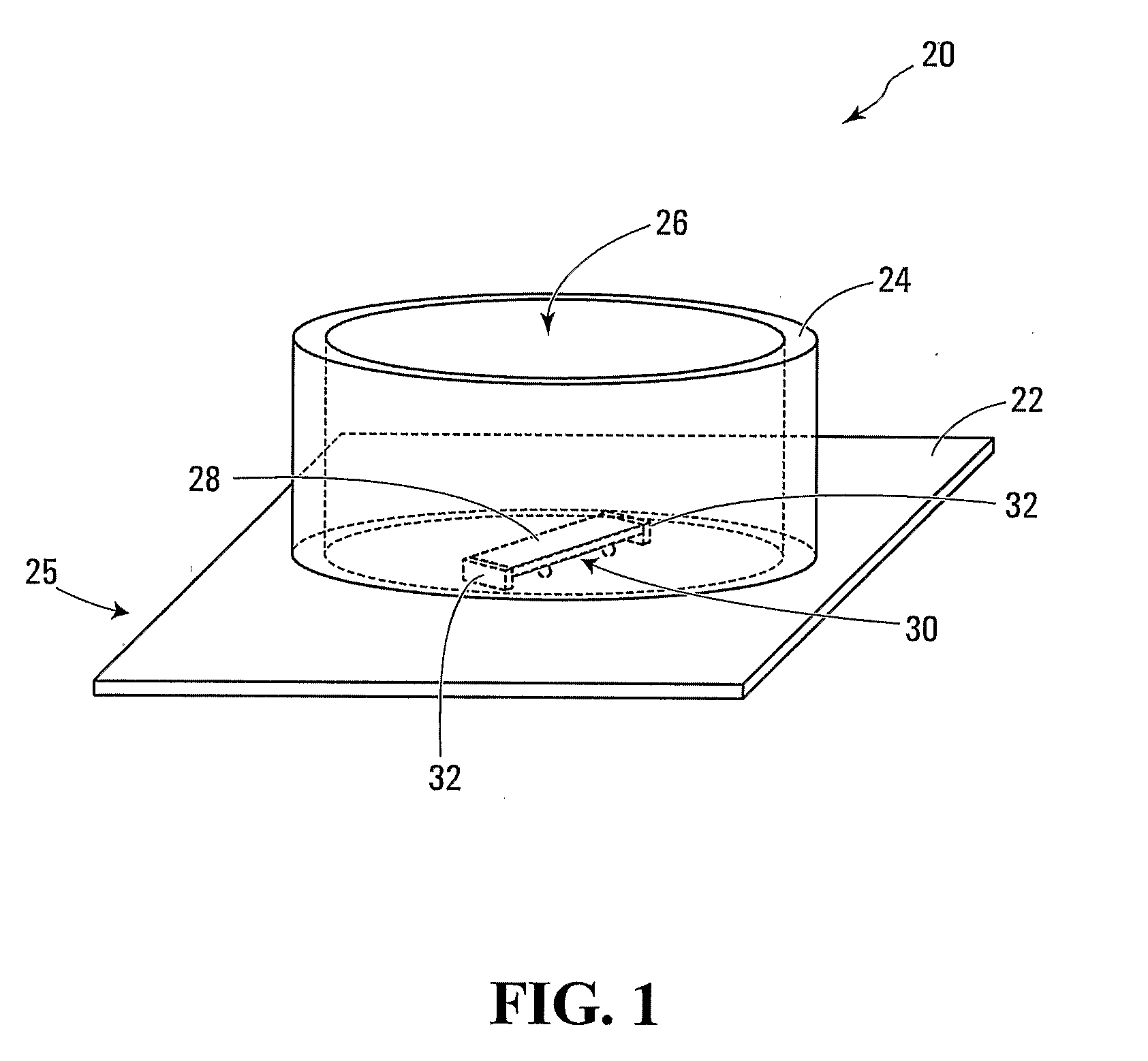 Cultured cell and method and apparatus for cell culture