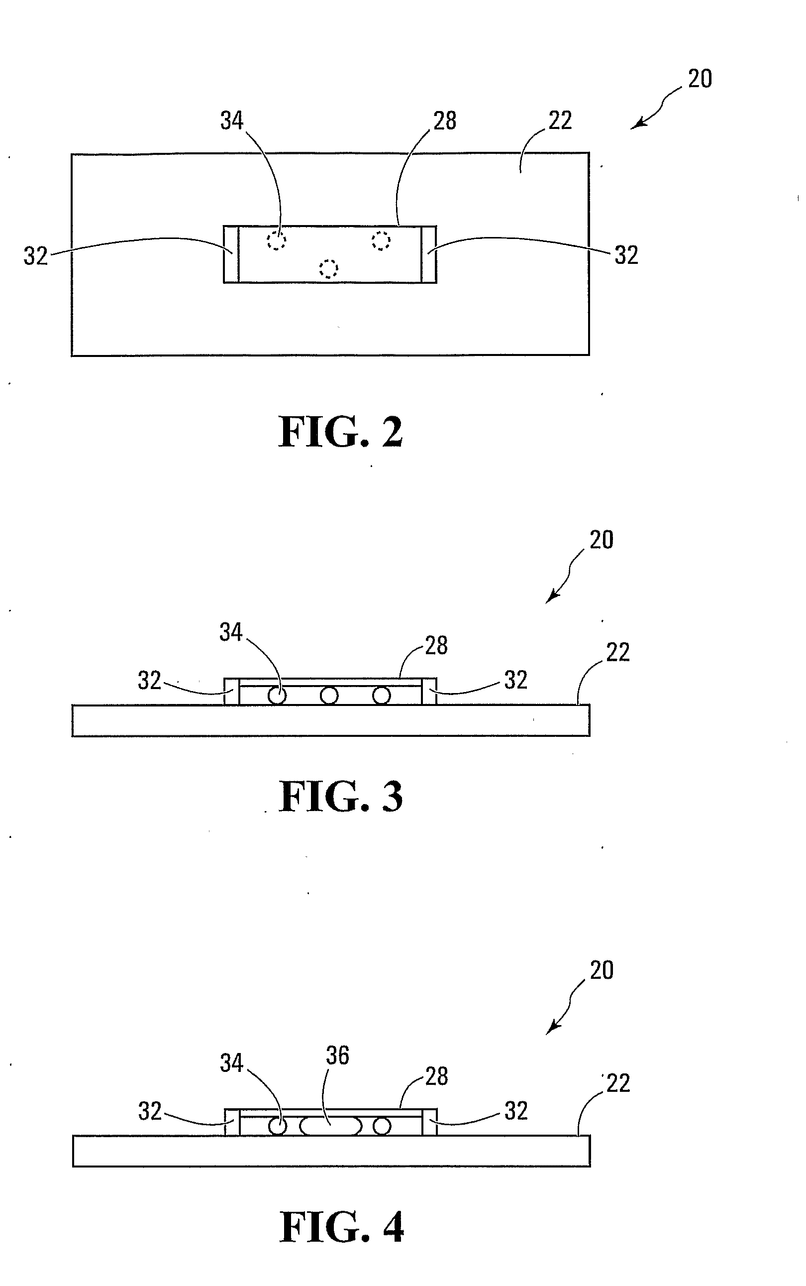 Cultured cell and method and apparatus for cell culture