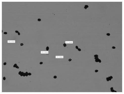 Sporidiobolus pararoseus strain and application thereof