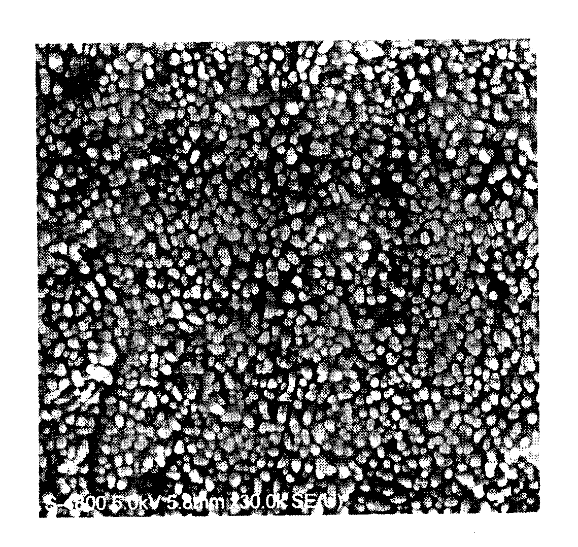 Preparation method of anti-osteoporotic micro/nano biomimetic coating of bone implant