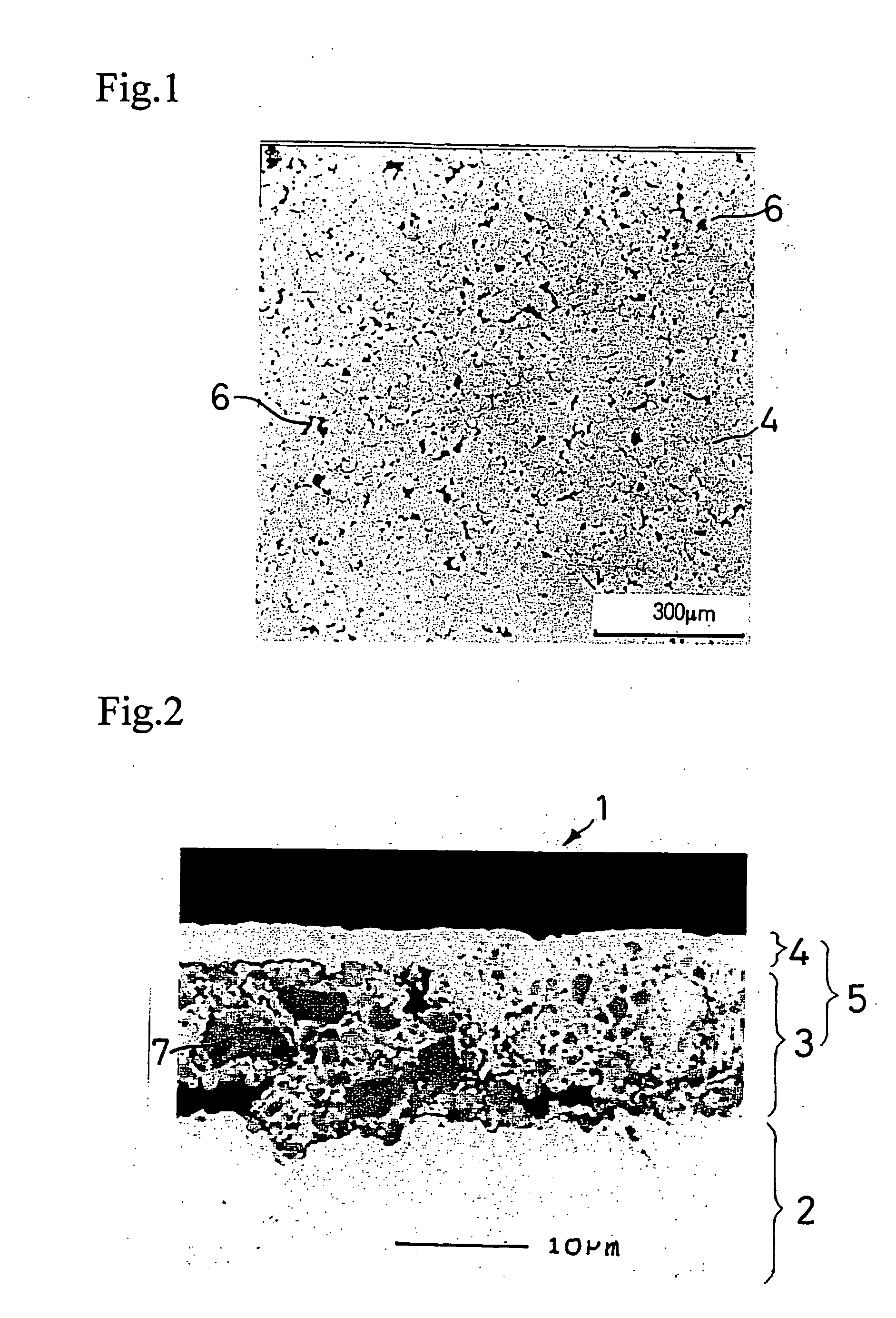 Negative electrode for nonaqueous secondary battery, process of producing the negative electrode, and nonaqueous secondary battery