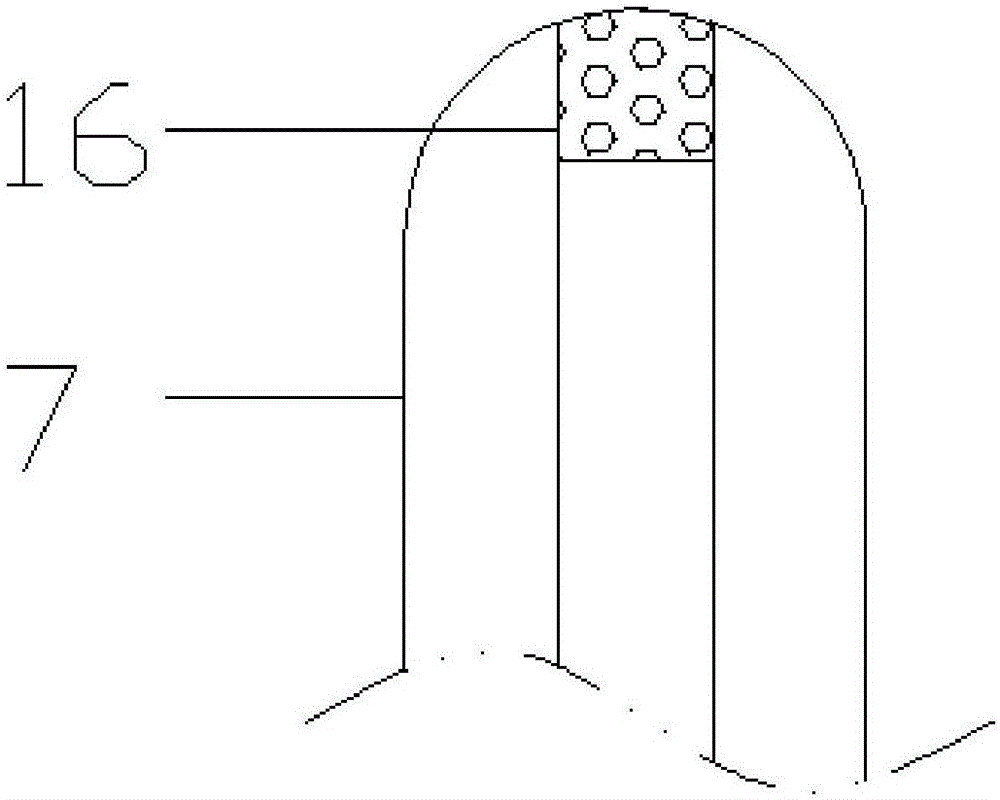 Cleansing instrument having water spraying function