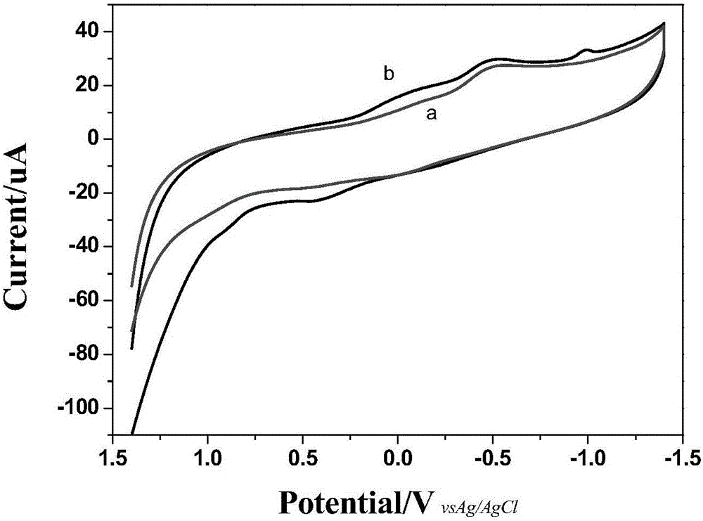 Eosin Y based electrochemiluminescence sensor