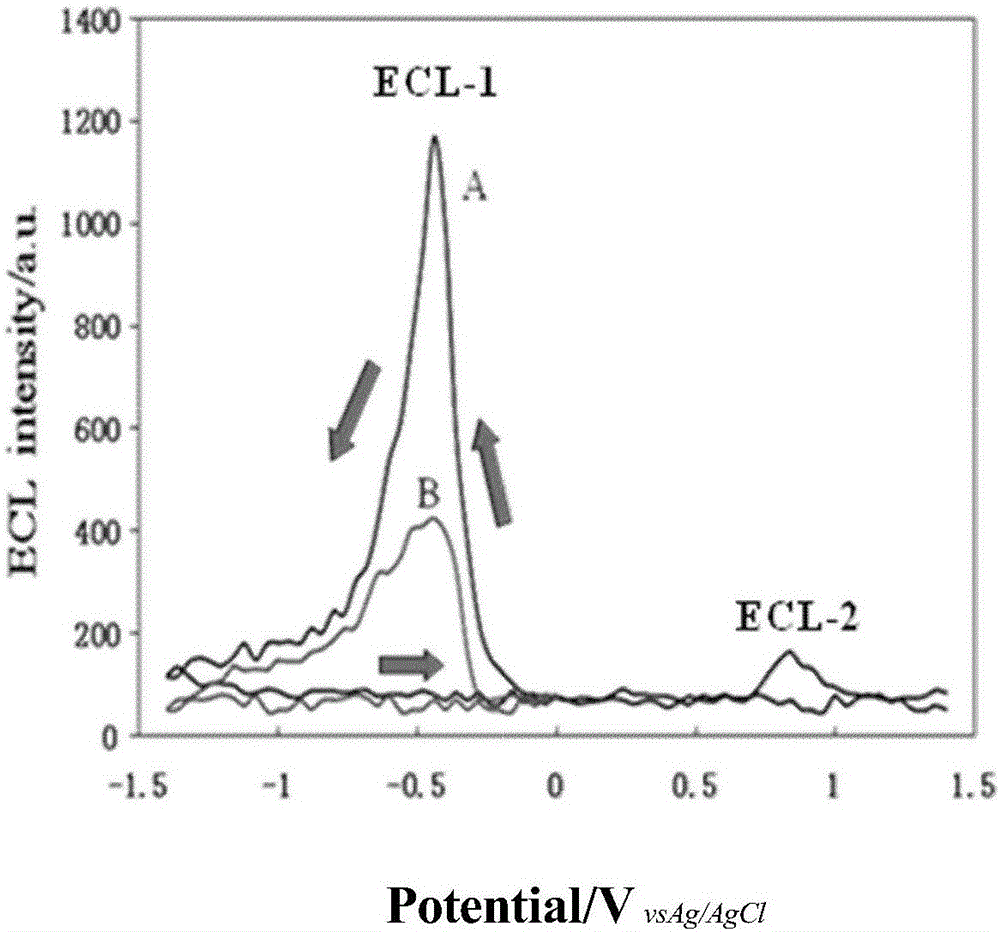 Eosin Y based electrochemiluminescence sensor