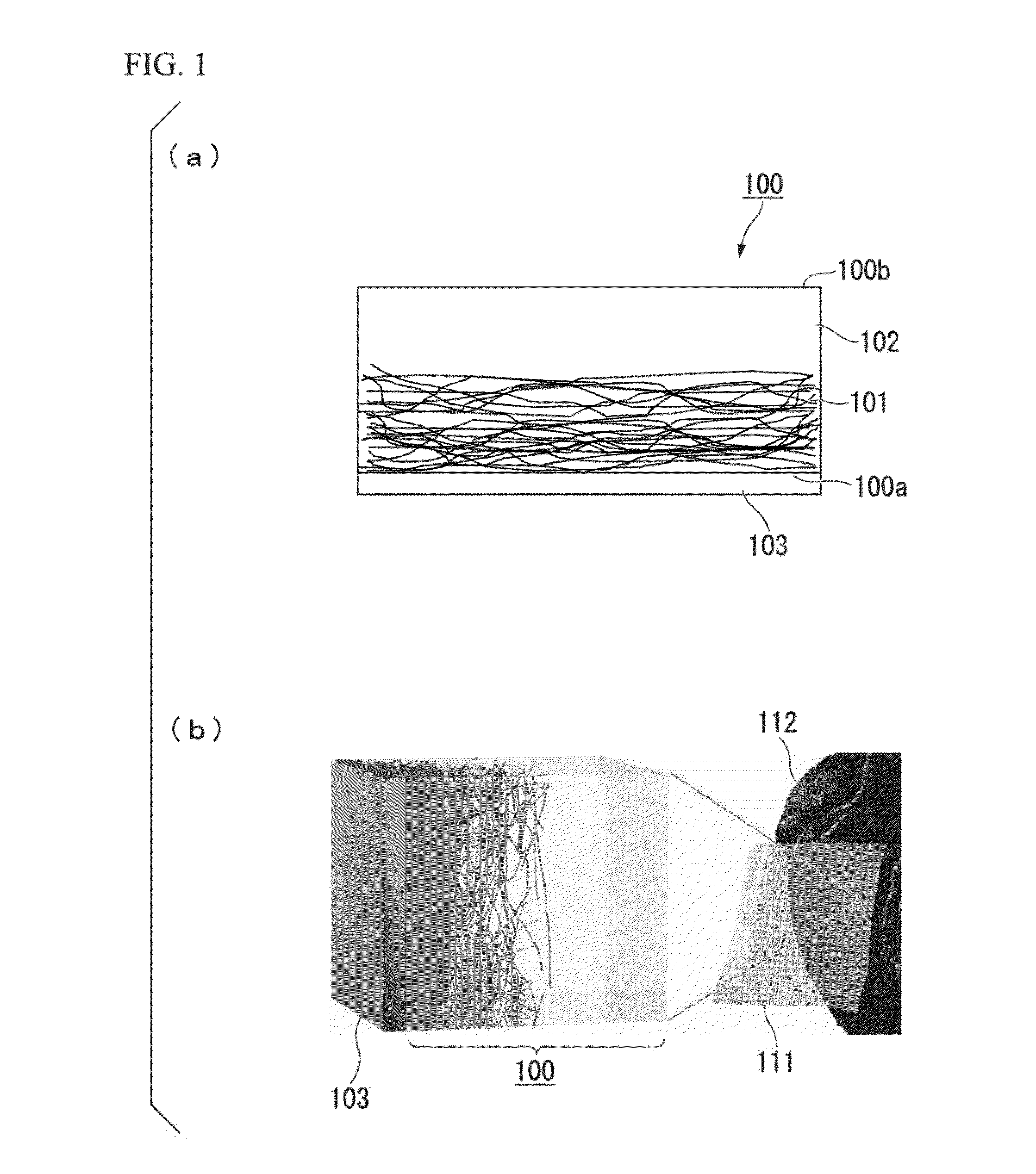 Biocompatible electrode structure and method for manufacturing the same, and device and method for manufacturing the same