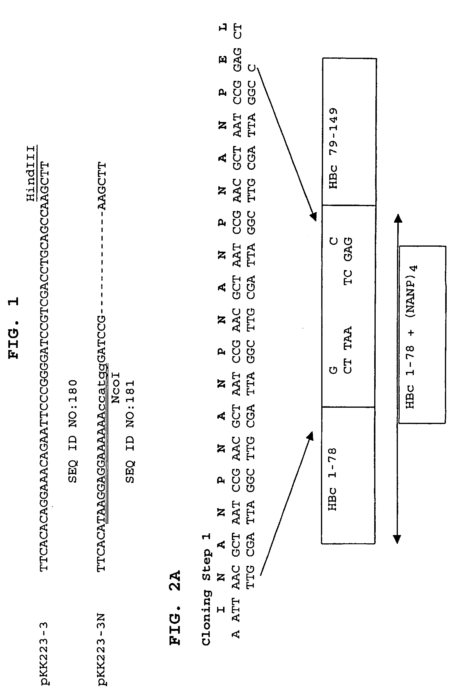 Malaria immunogen and vaccine