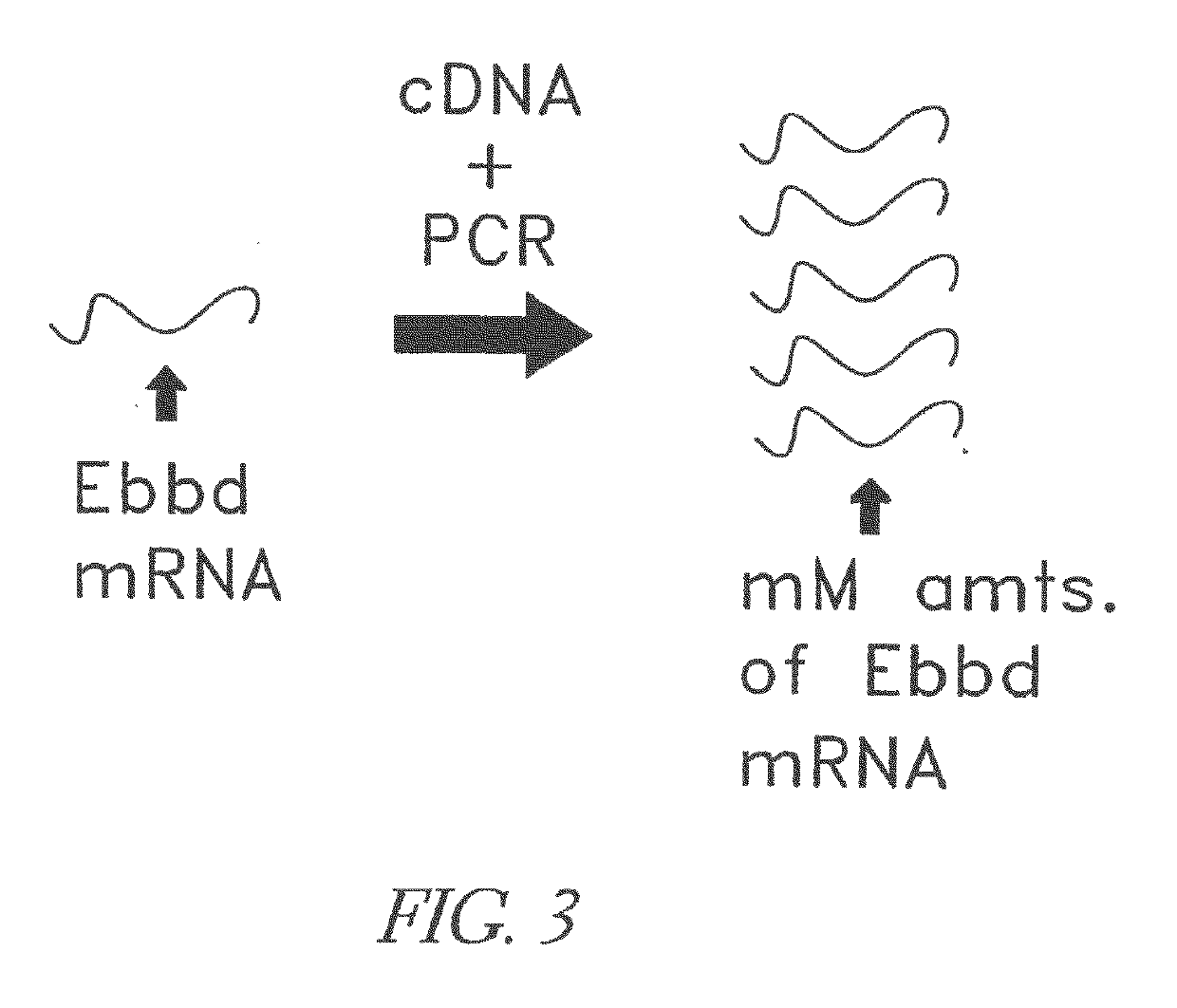 Modular targeted therapeutic agents and methods of making same