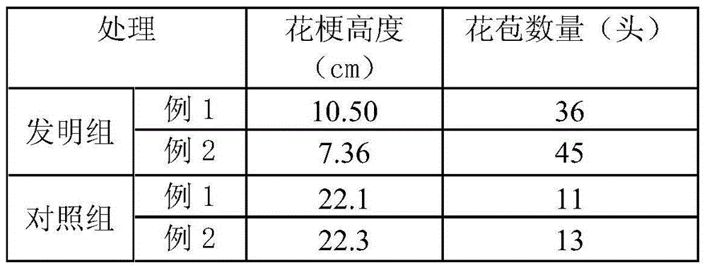 Longevity flower induction method