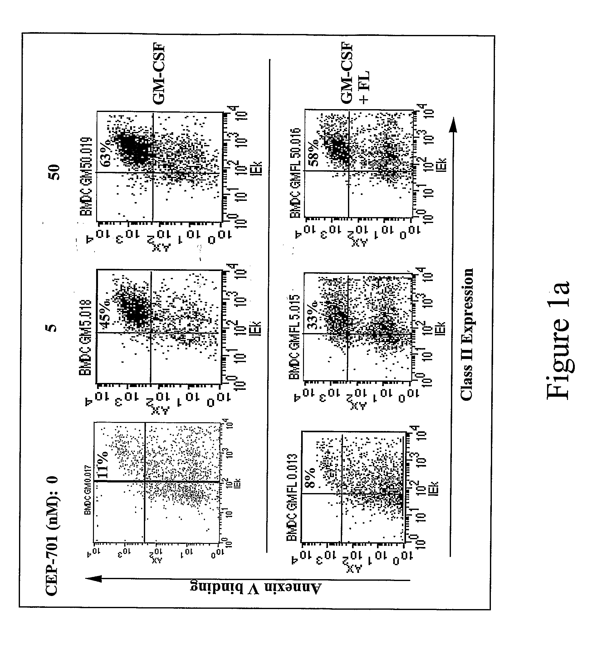 Flt3 inhibitors for immune suppression