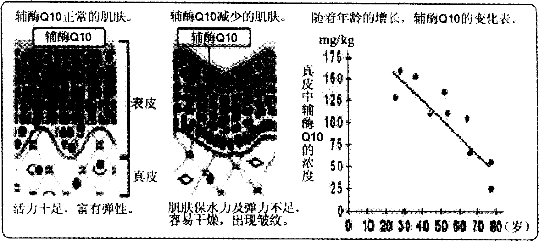 Compound health products containing coenzyme Q10 and spirulina