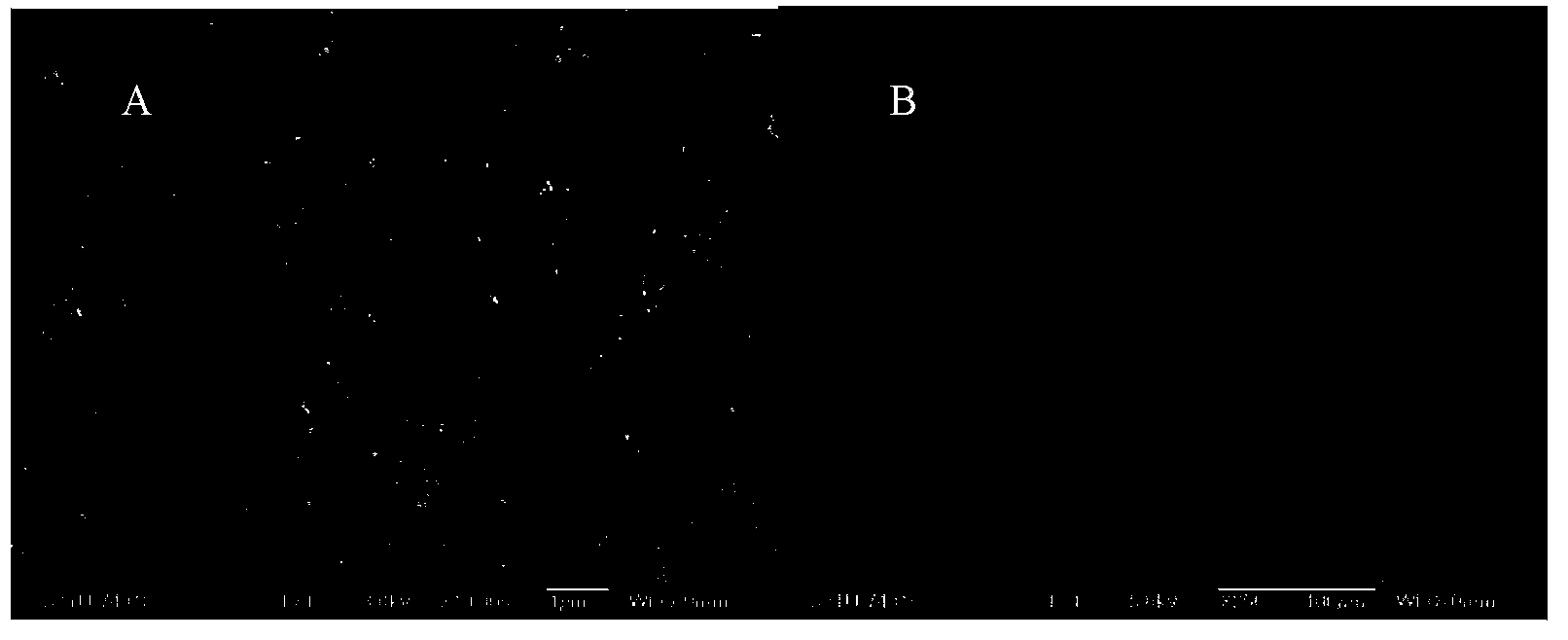 Method for preparing microspheres through oil in nano-particle suspension-oil in oil-water in oil