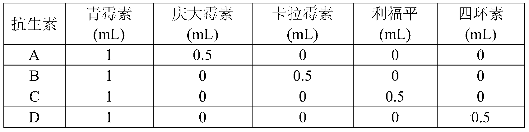 Immobilized algal-bacterial symbiotic system for processing petroleum pollutants and application thereof