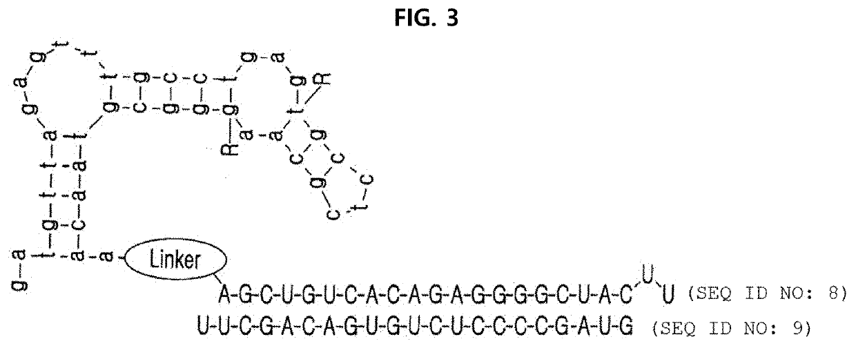 Complex for drug delivery and stabilization and preparation method thereof