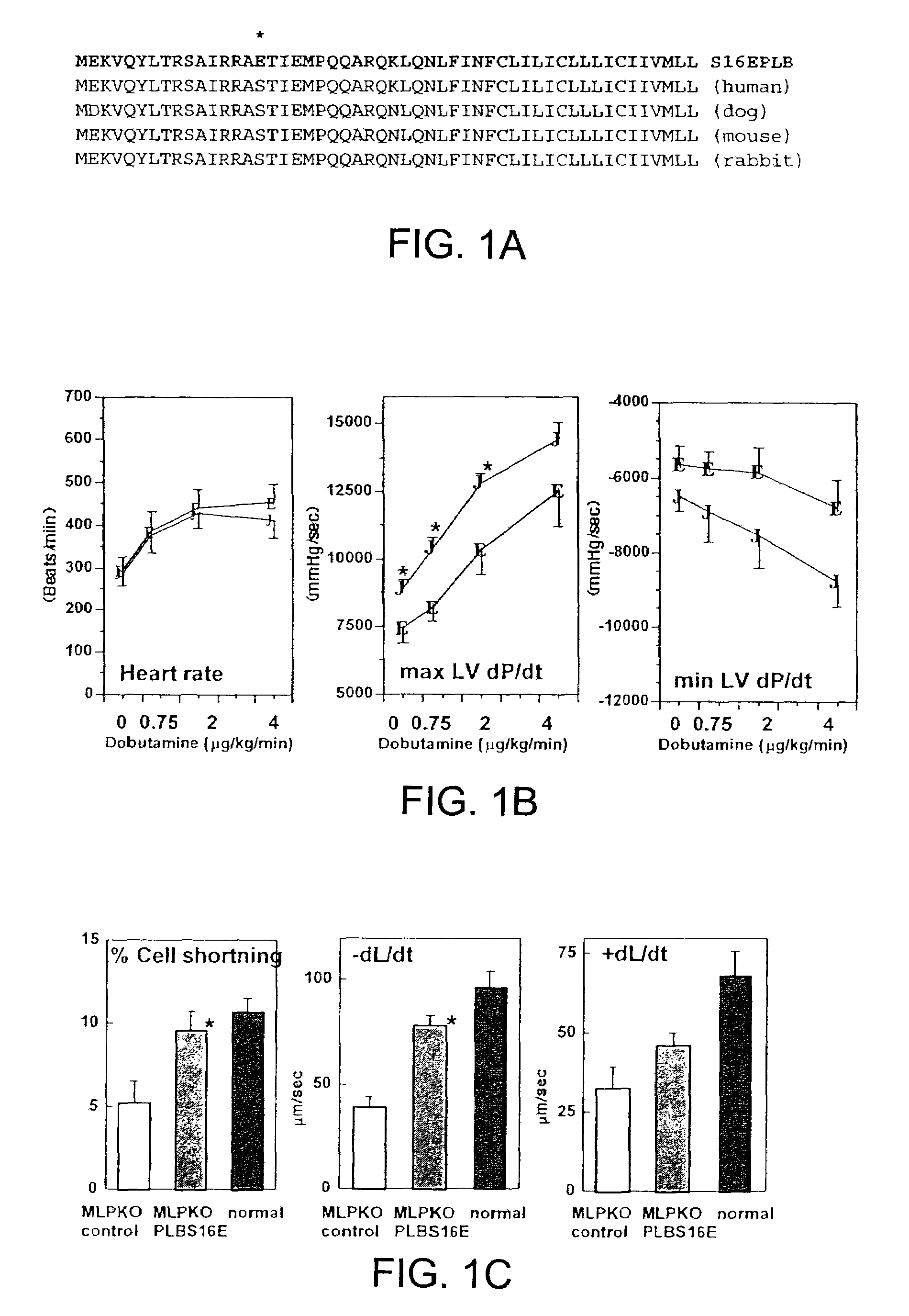 Methods for cardiac gene transfer