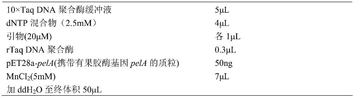 Thermostable alkaline pectinase mutants and their coding genes and their applications