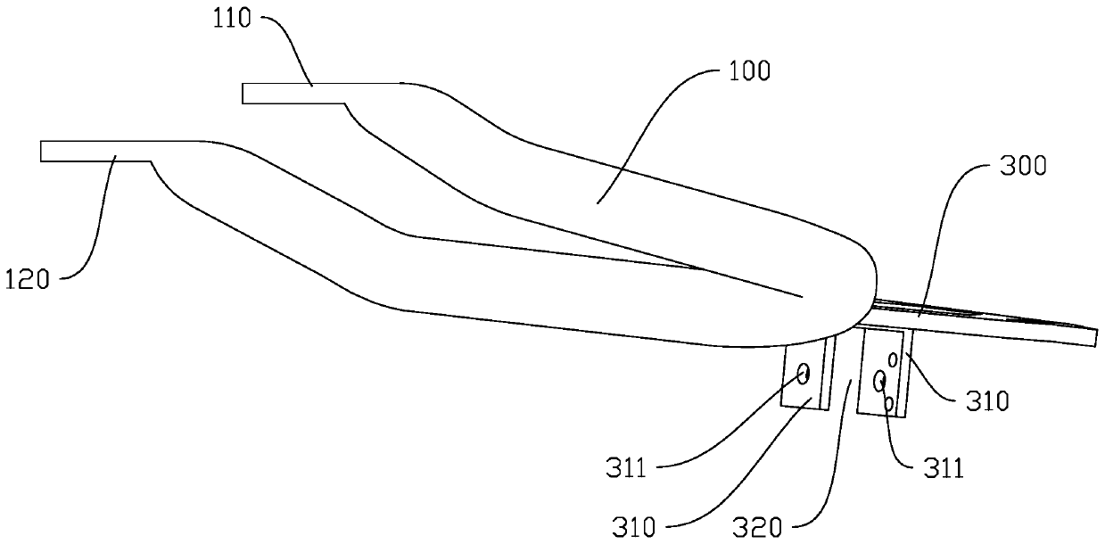 Foot rest structure