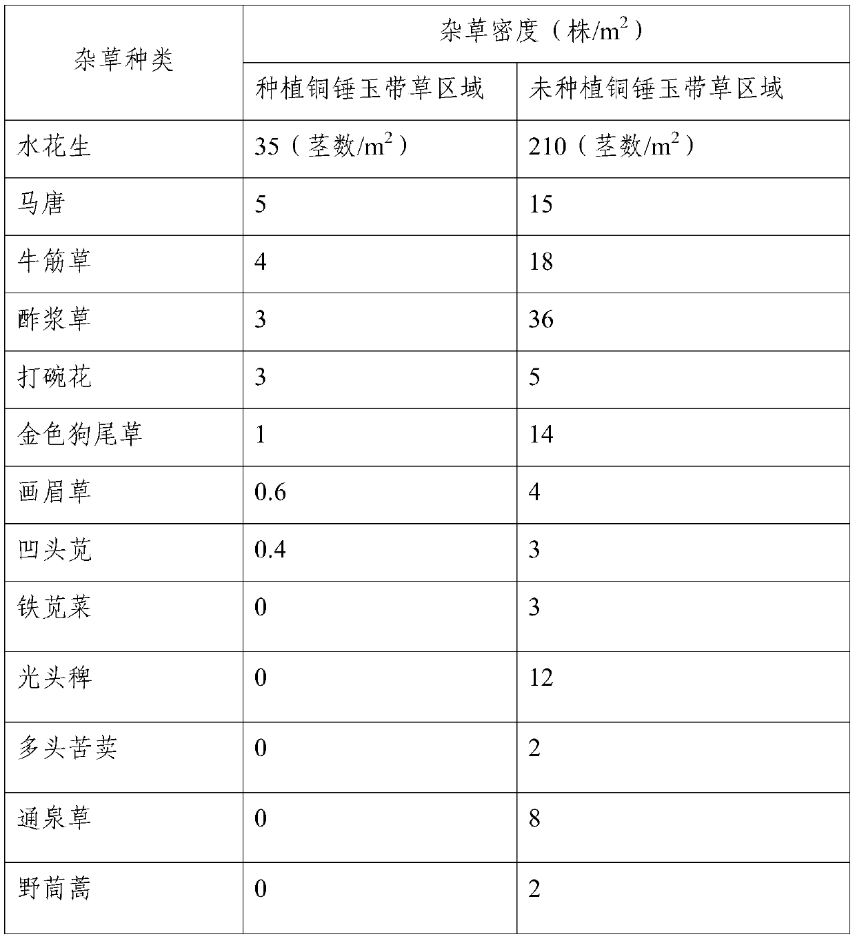 Application of pratia begoniifolia in ecological control of orchard