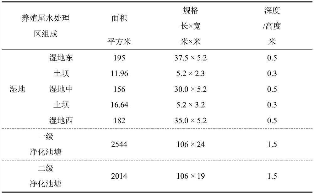 Ecological culture system integrating pond culture and tail water treatment, and operation and maintenance method thereof