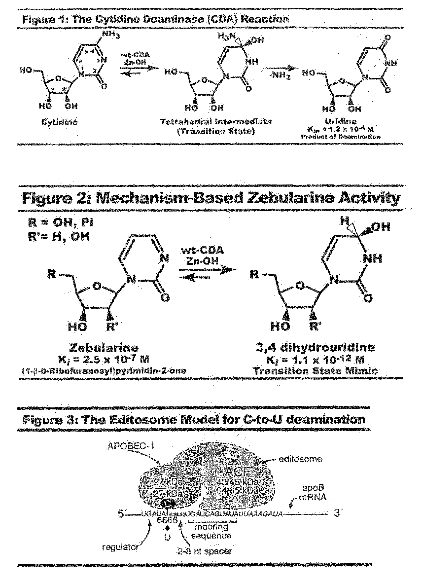 Context dependent inhibitors of cytidine deaminases and uses thereof