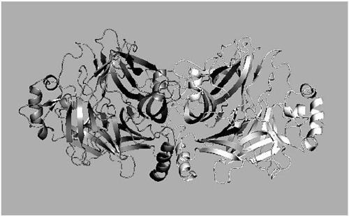 Subunit H protein of peste des petits ruminants virus and preparation method and application of subunit H protein