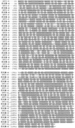 Subunit H protein of peste des petits ruminants virus and preparation method and application of subunit H protein